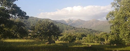 encuentro crecimiento personal en la naturaleza