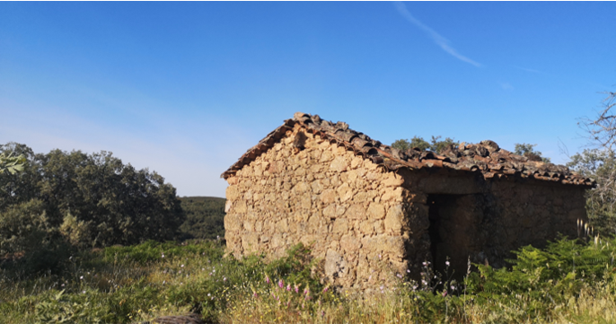 Crowfunding Talleres en bioconstrucción